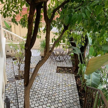 Villa Les Fougeres 2P Jardin Parking Κάννες Εξωτερικό φωτογραφία